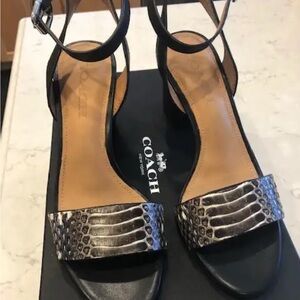 COACH- Brand New Shoes (Size 7M)